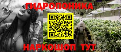 мескалин Камышлов
