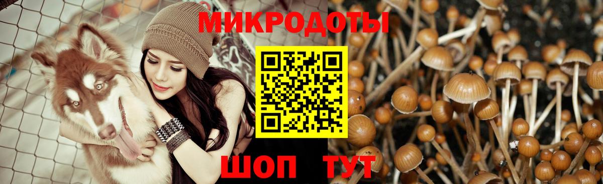 Галлюциногенные грибы мухоморы  Галлюциногенные грибы мицелий  Вход с VPN  Приморско-Ахтарск 